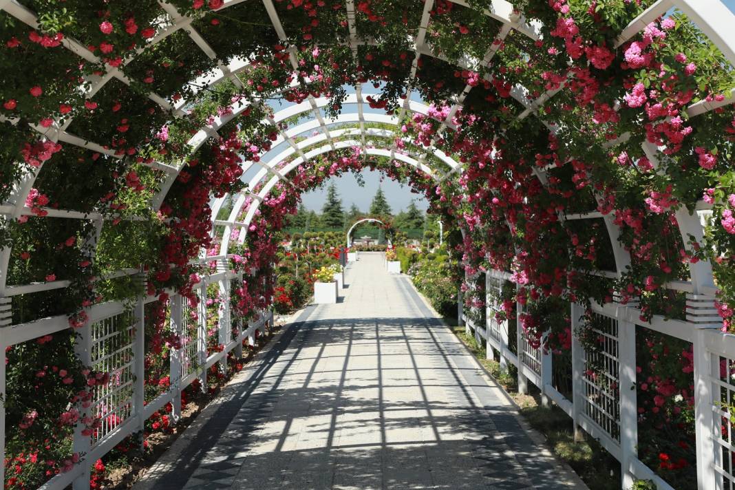 Doğanın en güzel tonları Karatay’da! Her detayıyla hayran bırakıyor 17